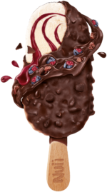Dark Chocolate & Nordic Berry Cream