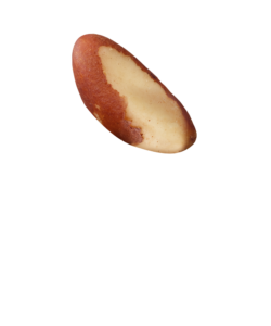 Noix du Brésil