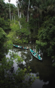 Amazonie