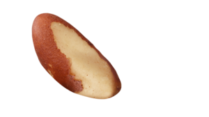 Noix du Brésil